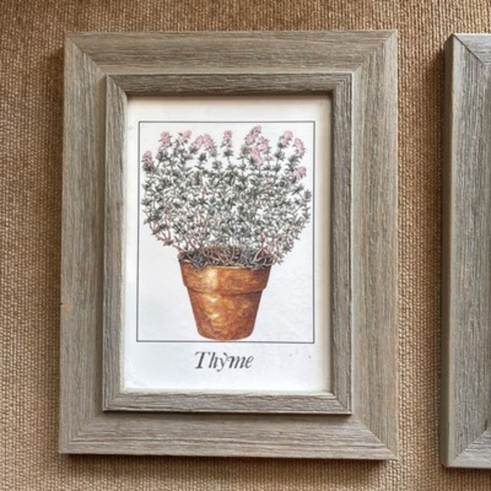 EUC Set Of Three Herb Portraits Thyme Sage Basil, Faux Wood Frame, 9 1/2 X 7 1/2 - Picture 2 of 12